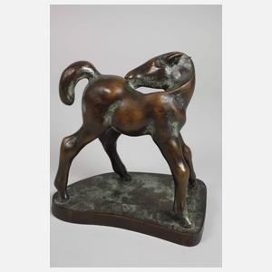 Viktor Eichler, Fohlen