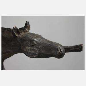 Friderun von Strahlendorf-Eilers, grasendes Fohlen