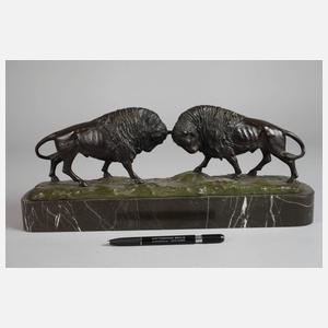 Andrêe, kämpfende Bisons