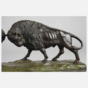 Andrêe, kämpfende Bisons