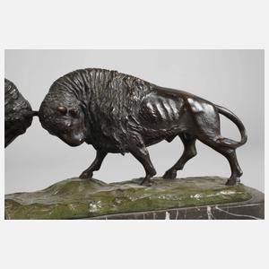 Andrêe, kämpfende Bisons