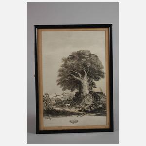 Carlos Morel, "El Ombú"