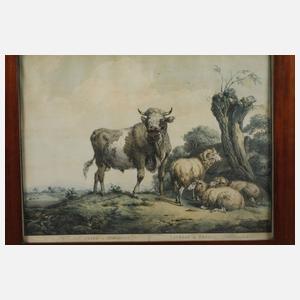 Pieter Gerardus van Os, "Stier mit Schafen"