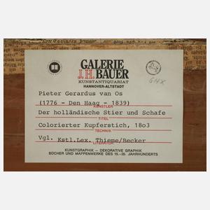 Pieter Gerardus van Os, "Stier mit Schafen"