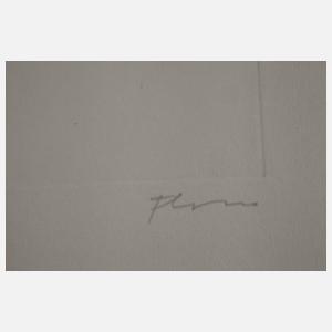 Prof. Paul Flora, Rabe im Schnee