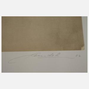 Peter Handel, Stehender Damenakt