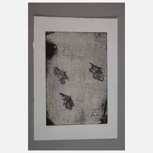 Prof. Vroni Schwegler, Drei Motten