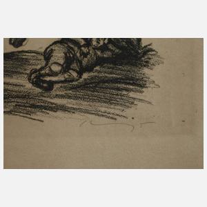 Prof. Max Slevogt, „Don Quixote”