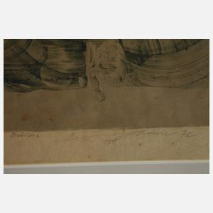 Jiri Anderle, "Orchidee"