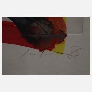 Prof. Friedemann Hahn , "Kopf nach van Gogh"