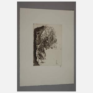 Horst Janssen, "Selbstportrait elegisch"