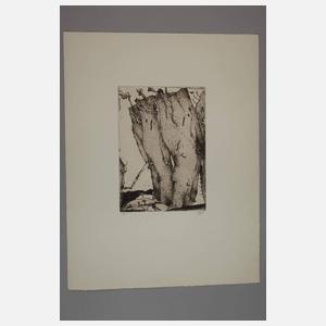 Horst Janssen, "Felsen"