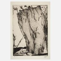 Horst Janssen, "Felsen"111