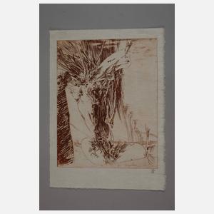 Horst Janssen, "Kopfweide"