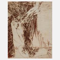 Horst Janssen, "Kopfweide"111