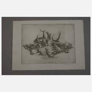 Prof. Mac Zimmermann, "Insel des Leidens"