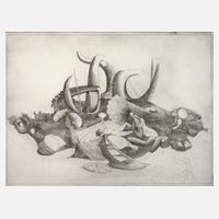 Prof. Mac Zimmermann, "Insel des Leidens"111