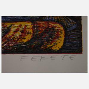 Walter Konschatzy, Die Kunst der Graphik