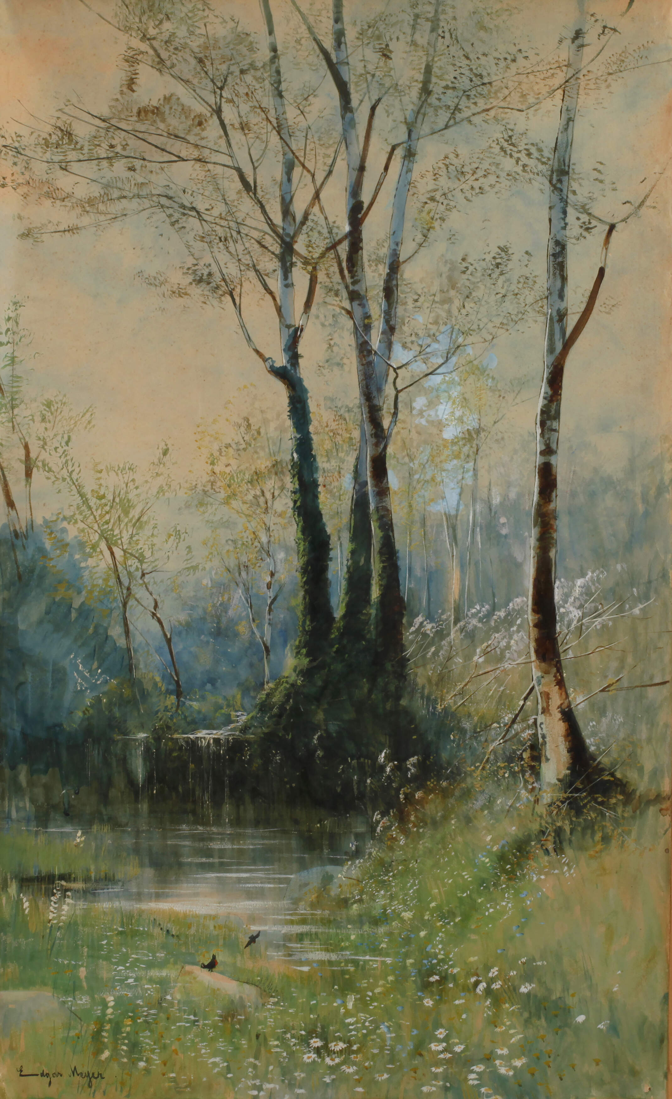 Prof. Edgar Meyer, Birken am Weiher