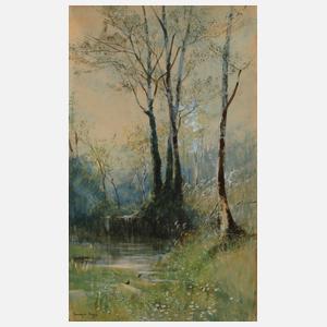 Prof. Edgar Meyer, Birken am Weiher