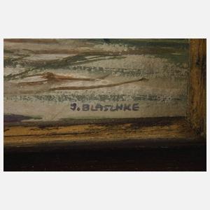 Franz Josef Blaschke, Ansicht Köln