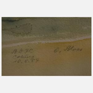 Dr. Otto Bloss, Markt in Coburg