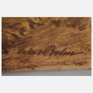 Oskar Bohn, Die Wassermühle