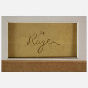 Irena von Rügen, Deckblattentwurf "Das Modell"