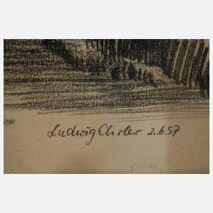 Prof. Ludwig Ehrler, Im Vogtland