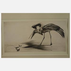 Prof. Richard Müller, Zwei Radierungen