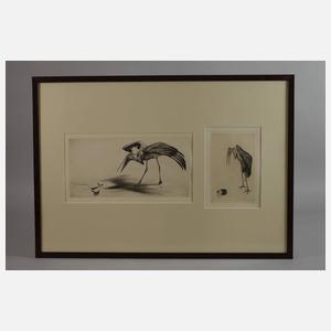 Prof. Richard Müller, Zwei Radierungen