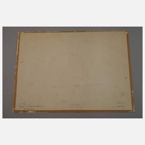 Georg Nerlich, Nelken, Chrysanthemen, Rittersporn