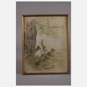 Karl Schicktanz, Ruhendes Wild