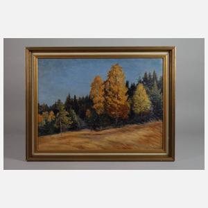 Albin Schlehahn, Herbstlicher Waldrand