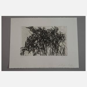 Prof. Max Uhlig, Gewirr