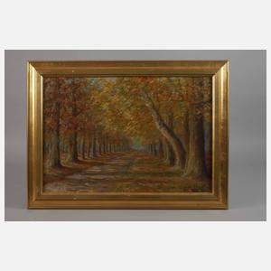 E. Schlicht, Herbstliche Baumallee