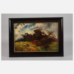 Spätsommerliche Gewitterlandschaft