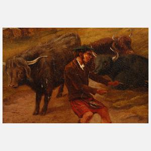 Partie in den Highlands