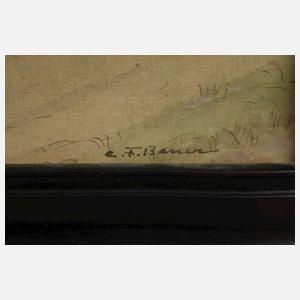 Carl Franz Bauer, Vorbeirauschende Pferdekutsche