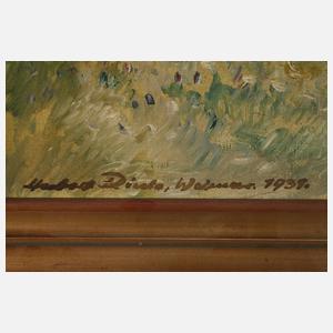 Herbert Dinda, attr., Der Jenzig bei Jena