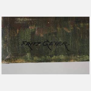 Fritz Geyer, "Die Pegnitzstadt"