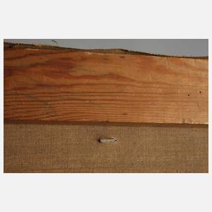 Fritz Geyer, "Die Pegnitzstadt"