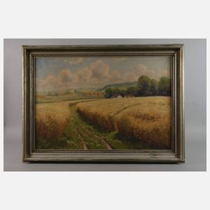 Richard Lorenz, Reifende Felder