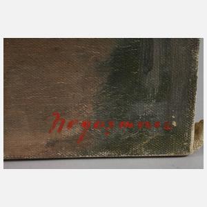 Grigore Negosanu, Holzkirche in der Maramures (Rumänien)