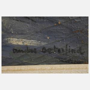 Anders Osterlind, Straße im Villenviertel