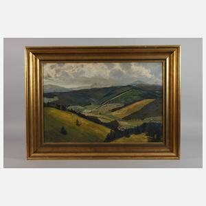 Hermann Pfeilschifter, Thüringer Wald bei Ilmenau