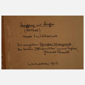 Max Wislicenus, Berghang mit Lärchen (Südtirol)