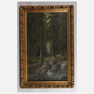 Bachlauf im Hochwald