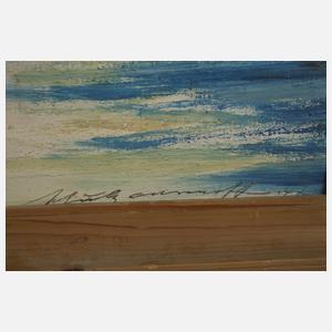 Erwin Schulz-Carrnoff, Segler auf dem Chiemsee