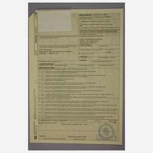 Spazierstock Elfenbein